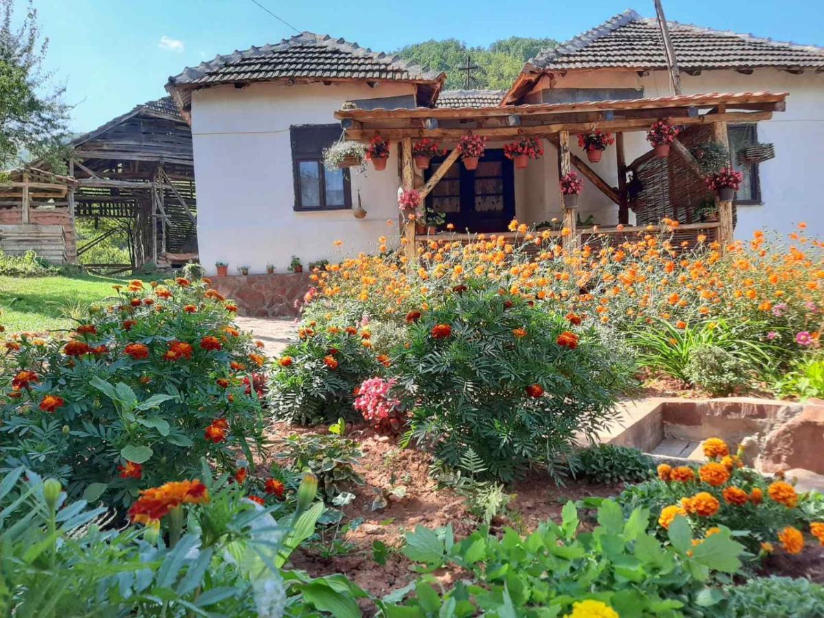 Seosko Domacinstvo „Gabar” Villa Custica Kültér fotó