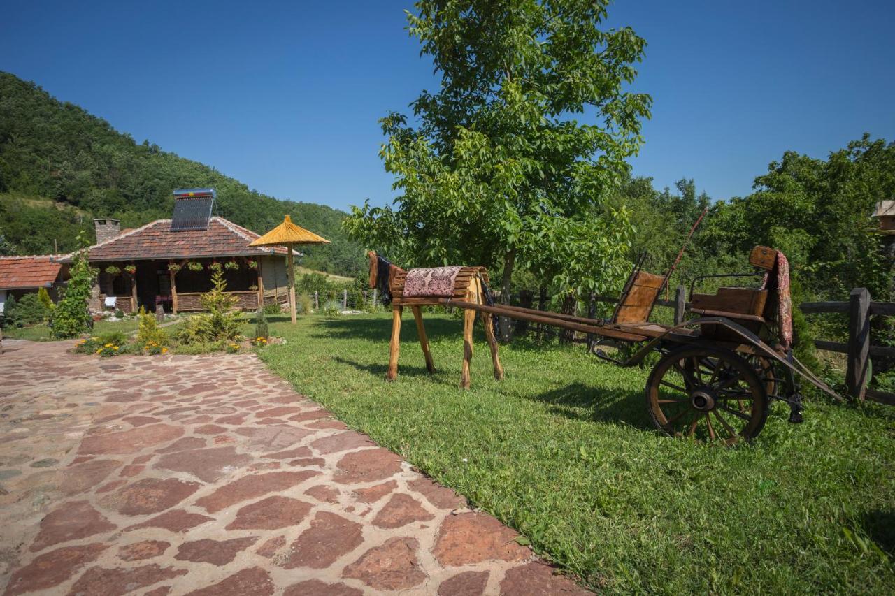 Seosko Domacinstvo „Gabar” Villa Custica Kültér fotó