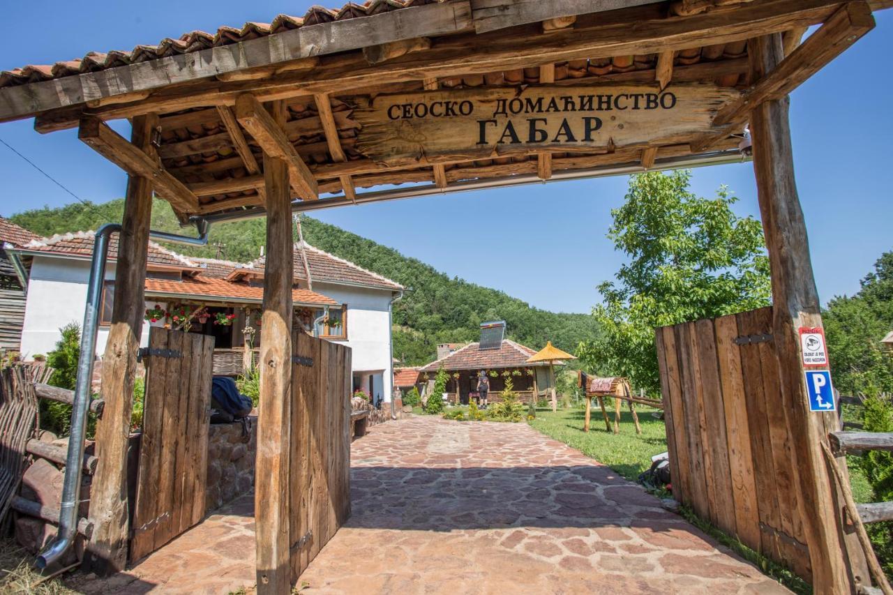 Seosko Domacinstvo „Gabar” Villa Custica Kültér fotó